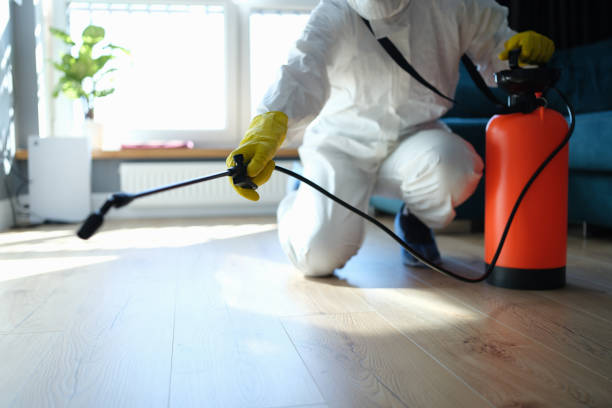 Reliable Infectious Disease Decontamination contractor in Pine, CO by Trauma Clean Pros